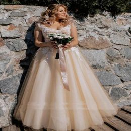 Elegant Plus Size Light Champagne Country Wedding Dresses A-Line V-neck Sleeveless Floor Length Lace Appliques Long Tulle Bridal Gowns 255e
