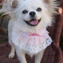 Dog Apparel Pet Scarf Bib Collar Wedding Lace Scarfscat Necklace Bandana Bibs Pink Warm Decoration Puppy Costume