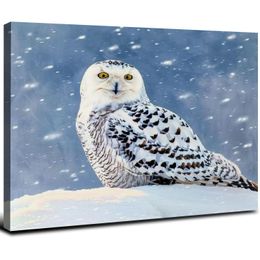 Canvas Print Wall Art,White Owl In Snow Modern Gallery Wall Decor Print Gift Wall Living Room Bedroom Home Party Decoration Painting