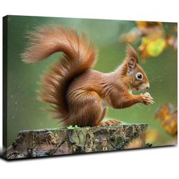 Red Squirrel Nature Animal Poster Poster Painting Canvas Prints Bedroom Large Home Decor Wall Art Picture Canvas Wall