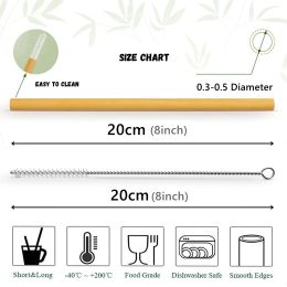 10Pcs Reusable Bamboo Straw Natural Bamboo Drinking Straws Sustainable Biodegradable Eco-friendly Straws for Cocktail Milkshake