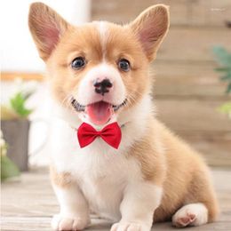 Dog Apparel Pet Cat Collar Bow Tie Adjustable Neck Strap Grooming Accessories Puppy Product Supplies