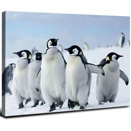 Little Penguin Canvas drukuje zdjęcia ścienne zdjęcia ścienne plakaty dla zwierząt Druku