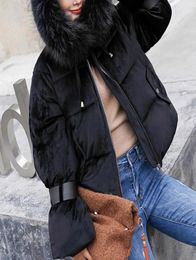 Large Natural Raccoon Fur Hooded Winter Down Coat Women White Duck Down Jacket Thick Warm Parkas Female Outerwear1497938