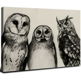 Canvas Wall Art Owls Black Framed Canvas Print Artwork Bird Modern Wall Art Paintings for Living Room Bedroom Bathroom Modern Home Decor