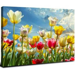 Canvas Wall Art Print Multicolored Tulip Flowers Home Decoration Hotel Decorative Painting( Ready to Hang)