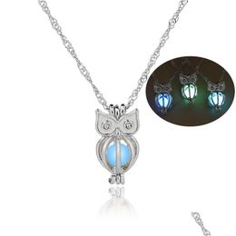 Lockets Glow In The Dark Owl Necklace Hollow Pearl Cages Pendant Luminous Animal Charm Necklaces For Women Ladies Luxury Fashion Jewel Dhypw
