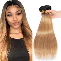100g/PC 1B/27 Blonde Straight Human Hair Bundles Ombre Colored Bundles Full End Virgin Hair Double Weft Hair Extensions 12-26 In