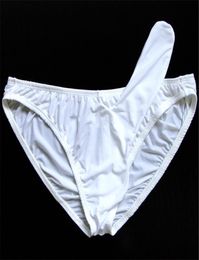 Mens Sexy Ice Silk Panties Low Rise Male Penis Sheath Briefs Underpant Transparent Silky Exotic Underwear Lingerie Gay Jockstrap4990049