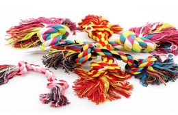 Pets dogs pet supplies Pet Dog Puppy Cotton Chew Knot Toy Durable Braided Bone Rope 15CM Funny Tool 5207897