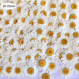 Decorative Flowers 100Pcs Real Natural Dried Pressed White Daisy Flower For Resin Jewellery Nail Stickers Makeup Art Crafts