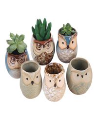 6PcsSet Ceramic Owl Pot Succulent Plant Cactus Flower Pot Container Planter Bonsai Pots H99F 2106158976535