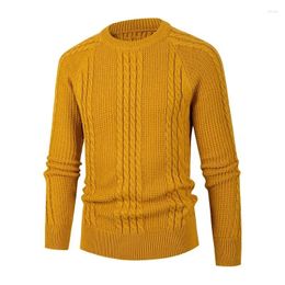 Men's Sweaters 2024 Crew Neck Solid Fried Dough Twists Pullover Sweater Knits Large Fashion Casual Backing Shirt