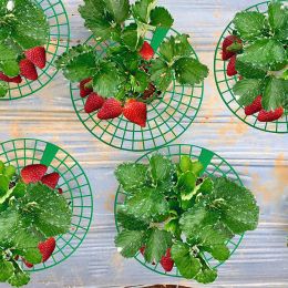 5/10Pcs Strawberry Stand Plant Support Vegetables Grow Holder for Home Garden Greenhouse Planting Accessories Supplies