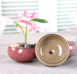 Fleshy Flower Pot Flower Ice Crack Ceramic Desktop Small Flower Pot Ceramic Crafts Bottom Hole5295096