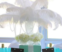 Whole 100 pcs 1618inch pure White ostrich feather plumes for wedding Centrepiece decoraction costume decor supply5813162