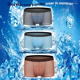 Underpants Summer Ultra-thin Men's Panties Ice Silk Seamless Sexy Boxer Solid Translucent Breathable