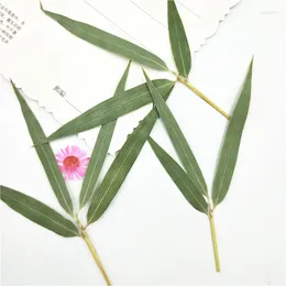 Decorative Flowers 12pcs Natural Pressed Dried Flower Green Bamboo Leaves Plants For Card Making DIY Phone Case Decoration 8-11cm