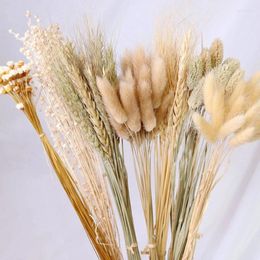 Decorative Flowers Dried Wheat Ears Tail Pampas Grass Living Room Easter Decorations Embroidery Racks And Accessories