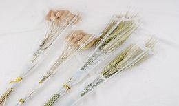 Decorative Flowers Wreaths Natural Wheat Tail Grass Hay Dry Flower Spike Dried Bouquet Big El Home Decoration4647702