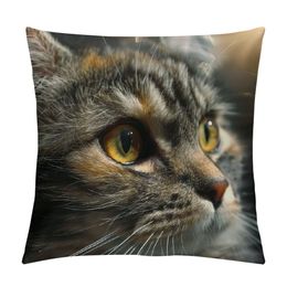 Cute Cat Throw Pillow Cover Couch Pillow Case Square Outdoor Pillow Sofa Bed Lumbar Pillowcase Decorative