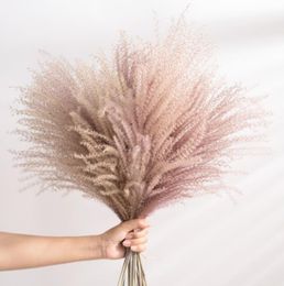 50pc Natural Pampas Grass Dried Flowers Reed Plants for Home Decoration Real Flower Wedding Background Layout Pography Props4860024