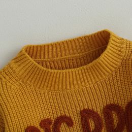 0-6Y Autumn Winter Children Sweaters Baby Girls Boys Knitting Pullovers Tops Long Sleeve Letter Embroidery Knitwear Kids Clothes