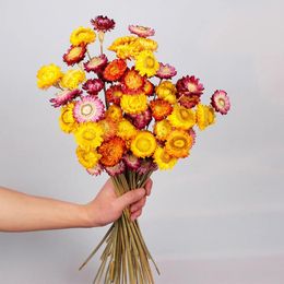 Decorative Flowers Dried Flower Daisy Chrysanthemum Bouquet Natural Immortal DIY Party Wedding Arrangement Floral Home Room Table Decor