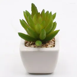 Decorative Flowers Simulated Plant Golden Flower Moon Artificial Succulent Plants Bonsai Random Variety Without Pot