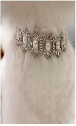 Bling Rhinestone Pearl Necklace Dog Collar Alloy Diamond Puppy Pet Collars Leashes For Little Dogs Mascotas Dog Accessories9547415