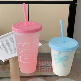 Water Bottles Kawaii Bottle Aesthetic Tumbler For Ice Coffee Juice Tea Cute Bowknot Plastic Cups With Straw Lid Portable Drinking