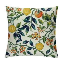 Frukt eller granatäpple - Dekorativa kastkudde täcker mysig mjuk kudde estetisk kudde täckning för heminredning soffa vardagsrum soffan säng bil