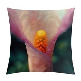 Rose"Pink Calla Lily Close up" Pillow Case