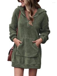 Women's Hoodies Double-sided Plush Hooded Loose Jacket 2024 European And American Autumn Winter Zippered Wool Warm Pocket Sweater