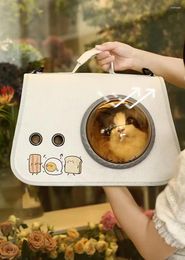 Cat Carriers Fashion Color Travel Outdoor Carrying And Dog Backpack/Space Pet Bag Transparent