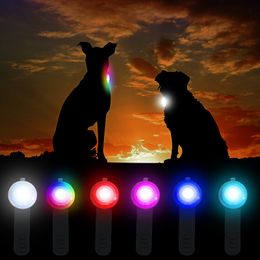 Led Dog Collar Pendant Rechargeable Pet Usb Luminous Collar Pendant Pet Flash Light Leash Accessories Safety Dog Necklace