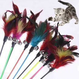 Cat Toys 1 50cm cat toy feather stick cat toy interactive cat pet and Bell pet toy cat supplies play games pet products d240530