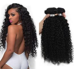 Raw Indian Mongolian Peruvian Brazilian Hair Kinky Curly Weave 4 PCS LOT Unprocessed Human Hair Malaysian Hair Bundles Kinky Curly6750702