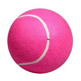 8 Inflatable Big Tennis Ball Toy for Children Adult Pet Dog Puppy Cat Pink 240529