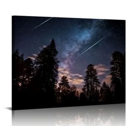 Night Sky Canvas Wall Art (Ready to Hang) Gallery Wrap of Shooting Stars, Planes and Satellites in Colorado Celesital Photography Nature Decor.