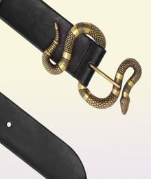 TOP snake buckle Men Belts Classic bronze Buckle beltsGold buckle fashion mans beltsleisure business beltscheap real leath6273210