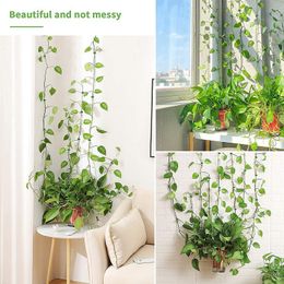 10/30/50PCS Plant Climbing Wall Self-Adhesive Hook Fixture Clips Invisible Rattan Clamp Fixture Wall Sticky Hook Plant Support