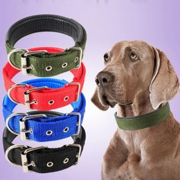 Nylon Dog Collars Adjustable Pet Neck Strap for Small Medium Large Dogs Cat Neckband Foam Padded Collar Accessories 240530