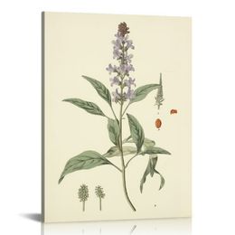 Lavender Print, Vintage Botanical Poster Wall Art Decor, Kitchen Art, Vintage Flower Print, Flower Prints