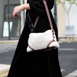 Shoulder Bags 2024 Winter Women Bag Wool Fur And Leather Patchwork Lady's Small Handbag Crossbody Designer Purse