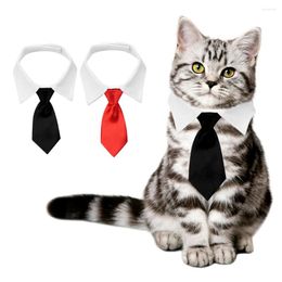 Dog Apparel Fashion Pet Accessories Solid Colour Cat Collar Bow Tie Adjustable Cotton Puppy Neck Strap Formal Necktie For Wedding