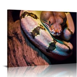 Snake VII Contemporary Dramatic Hallway Multicolor Photography Reptiles Snakes Wall Art Prints for Living Room,Bedroom Ready to Hang