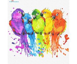 Paintings Paintmake Animal DIY Paint By Numbers Colourful Parrot Oil Canvas Painting Home Room Decoration Art Picture1461409