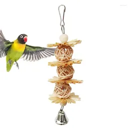 Other Bird Supplies Parrot Foraging Toy Budgie Toys Chew With Metal Hook Colourful Parakeet Shredding Cockatiel For Various Birds