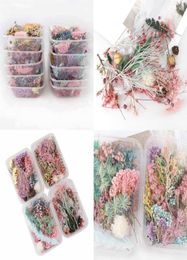 1 Box Real Dried Flower Dry Plants For Aromatherapy Candle Epoxy Resin Pendant Necklace Jewelry Making Craft DIY Accessories 1309 4247748